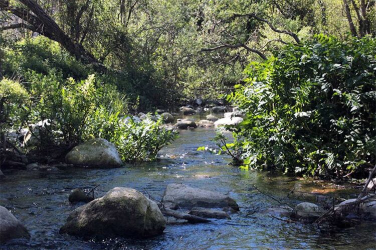 Legambiente Ragusa su deflusso minimo del fiume Irminio