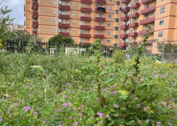 Ragusa, in abbandono villetta comunale di Mongibello e altre zone