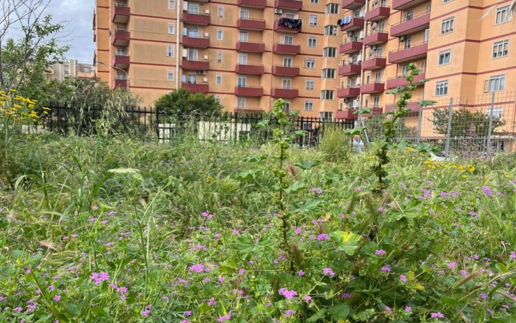 Ragusa, in abbandono villetta comunale di Mongibello e altre zone