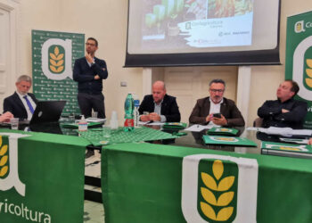 L'agrivoltaico, in Sicilia una risorsa per il futuro?