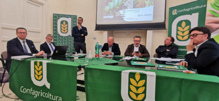 L'agrivoltaico, in Sicilia una risorsa per il futuro?