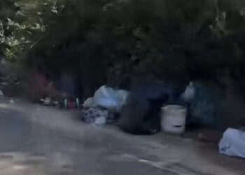 La provinciale che collega Casuzze a Marina di Ragusa piena di erbacce e spazzatura, presto intervento di bonifica