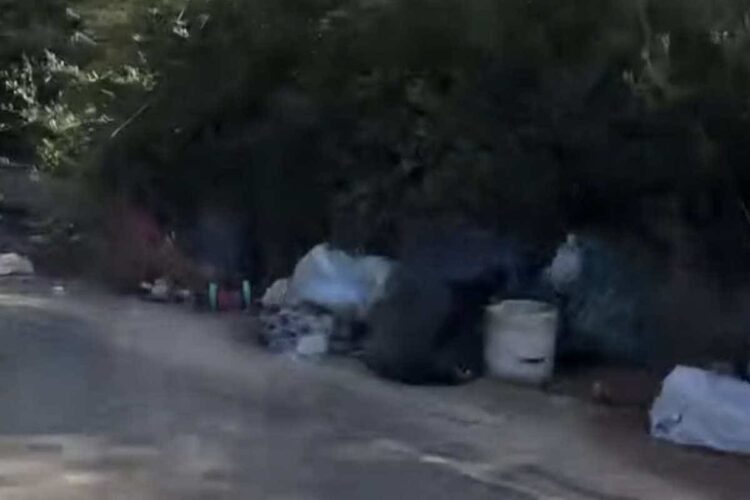 La provinciale che collega Casuzze a Marina di Ragusa piena di erbacce e spazzatura, presto intervento di bonifica