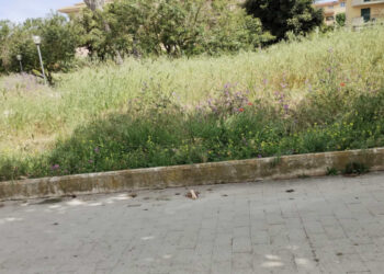 Ragusa Verde pubblico: canale diretto con i cittadini, segnalazioni via mail