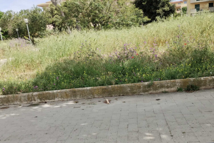 Ragusa Verde pubblico: canale diretto con i cittadini, segnalazioni via mail