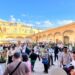 Innesto-Intrecci Urbani: la città-giardino di Comiso ospita scienza, verde e bellezza condivisa