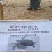 A Sampieri di Scicli primo nido di tartarughe marine in Italia