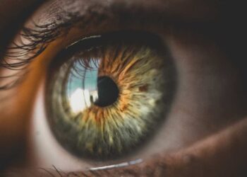 Malattie rare, scoperto un nuovo gene legato alla retinite pigmentosa ereditaria