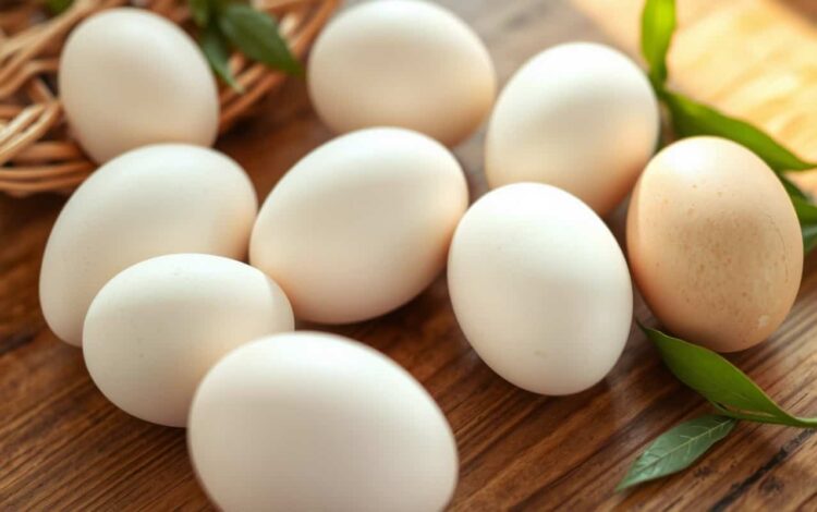 Dieta delle uova e riso facile per dimagrire 3 chili: Come Funziona e Menù