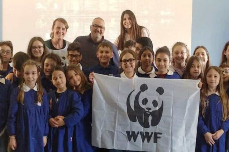 Tartarughe Caretta Caretta, volontari per natura a Marina di Ragusa