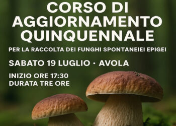 Corso di Aggiornamento per il Tesserino di Raccolta Funghi