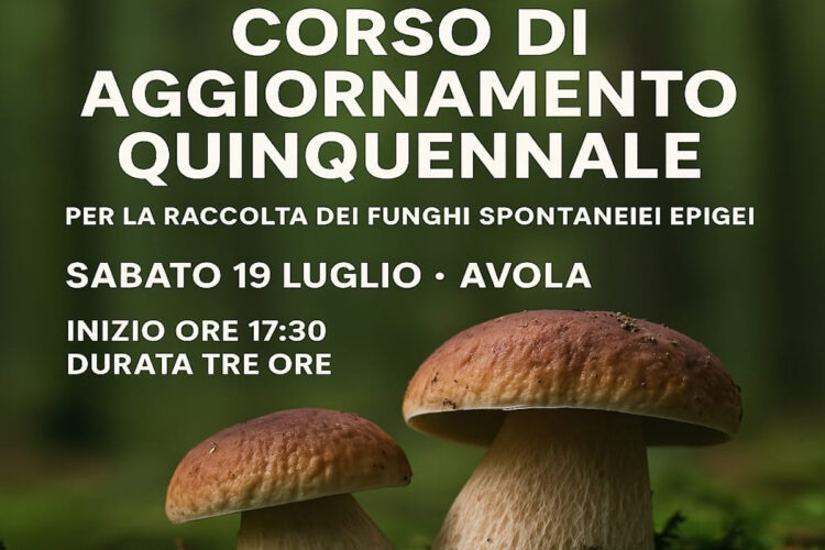 Corso di Aggiornamento per il Tesserino di Raccolta Funghi
