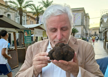 Tartufo nero di quasi un chilo esposto a Chiaramonte Gulfi