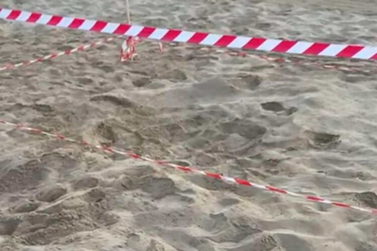Primo nido di tartarughe Caretta Caretta sulla spiaggia di Marina di Modica