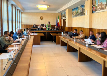 Il consiglio provinciale plaude alla presa d’atto delle linee programmatiche di mandato della presidente Maria Rita Schembari