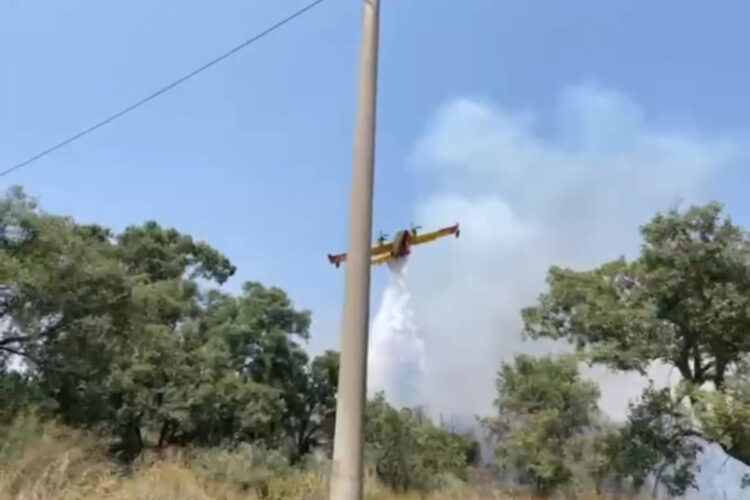 Fuoco nella Valle dell'Ippari, evacuata la villa comunale di Vittoria