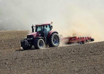 Sicilia, proroga al 31 dicembre per i contributi agricoli con Durc non in regola