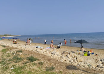 Lav Ragusa, un passo avanti per gli animali