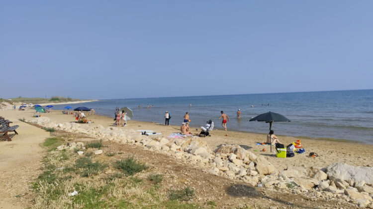 Lav Ragusa, un passo avanti per gli animali