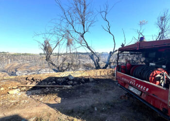 Vasto incendio vicino Marina di Ragusa, a fuoco serre e alberi: evacuate alcune abitazioni