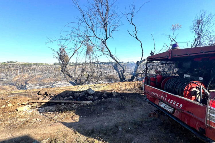 Vasto incendio vicino Marina di Ragusa, a fuoco serre e alberi: evacuate alcune abitazioni