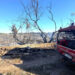 Vasto incendio vicino Marina di Ragusa, a fuoco serre e alberi: evacuate alcune abitazioni