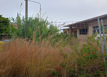 Rimozione vegetazione e prevenzione incendi a Marina di Modica. Riceviamo e pubblichiamo