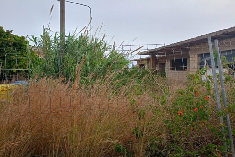 Rimozione vegetazione e prevenzione incendi a Marina di Modica. Riceviamo e pubblichiamo