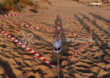 Scicli, salgono a 11 i nidi di tartaruga caretta Caretta: altri 3 nidi tra Bruca e Spinasanta