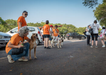 Lav Ragusa successo della passeggiata con i cani del canile rifugio