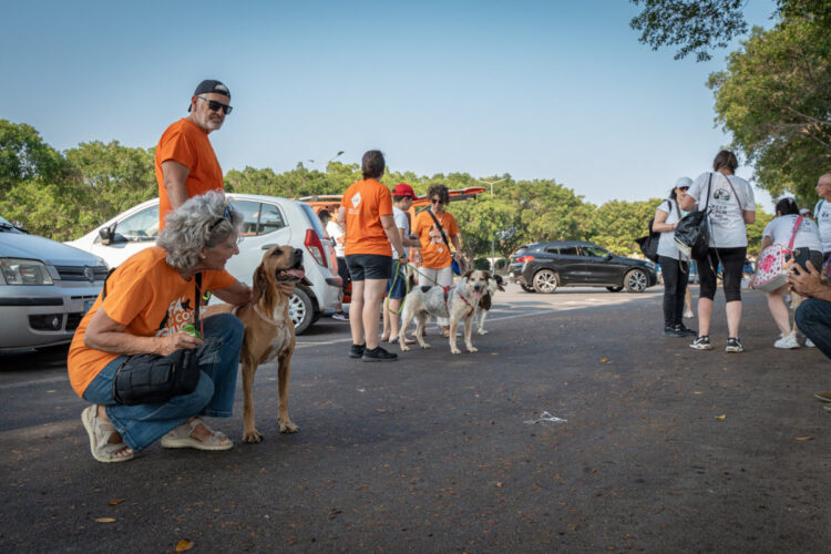 Lav Ragusa successo della passeggiata con i cani del canile rifugio
