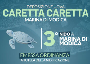 Terzo nido di tartarughe sulla spiaggia di Marina di Modica: emessa ordinanza