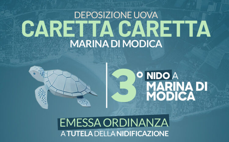 Terzo nido di tartarughe sulla spiaggia di Marina di Modica: emessa ordinanza
