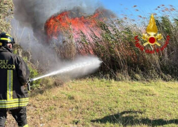 Incendio macchia mediterranea e canneto a Gela: sul posto anche vigili del fuoco di Ragusa