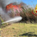 Incendio macchia mediterranea e canneto a Gela: sul posto anche vigili del fuoco di Ragusa