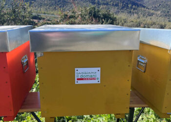 Ambiente: Despar porta a Ragusa Case delle Api Despar