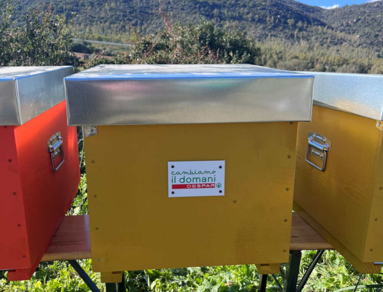 Ambiente: Despar porta a Ragusa Case delle Api Despar