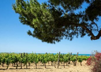 Casa Grazia approda a Patti (Messina) per la 5 tappa di Approdi-Un mare di storie