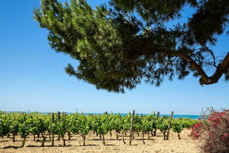 Casa Grazia approda a Patti (Messina) per la 5 tappa di Approdi-Un mare di storie