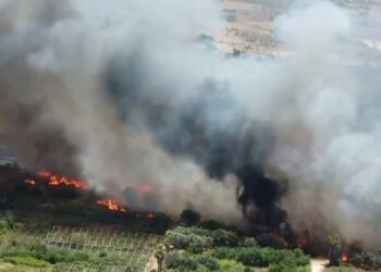 Modica: incendi in periferia, Cna agroalimentare: Vicini alle aziende colpite