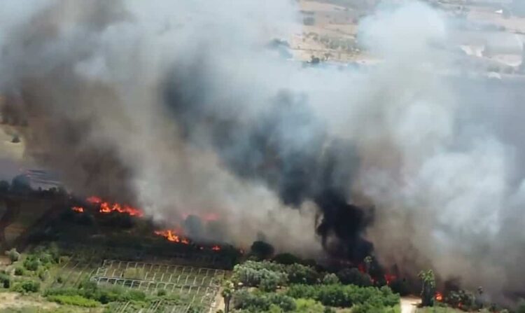 Modica: incendi in periferia, Cna agroalimentare: Vicini alle aziende colpite