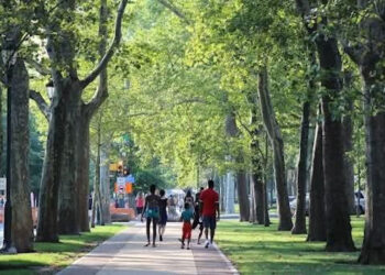 Bagheria, nasce il Comitato per il Verde