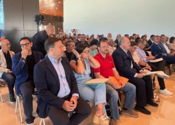 Consiglio Comunale Aperto sull’Aeroporto di Comiso, dichiarazioni del Partito Democratico di Comiso