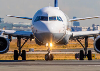Bird Strike a Palermo: volo per Milano colpisce un gabbiano in decollo: cancellato