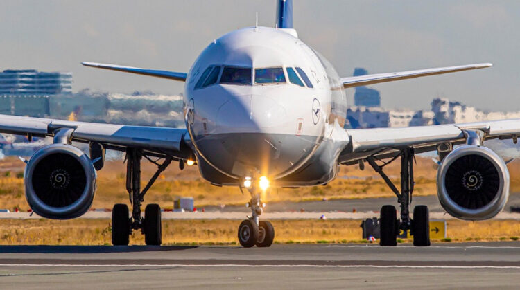 Bird Strike a Palermo: volo per Milano colpisce un gabbiano in decollo: cancellato