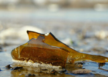 Lancia bottiglie di vetro dal finestrino dell'auto, preso a Donnalucata