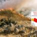 Allerta rossa per rischio incendi a Ragusa: attivato presidio di Protezione Civile