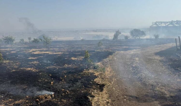 L'emendamento Abbate istituisce il fondo per il risarcimento danni da eventi calamitosi
