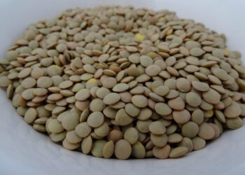 La dieta del piatto unico: un regime rapido per perdere peso, ma con alcuni accorgimenti