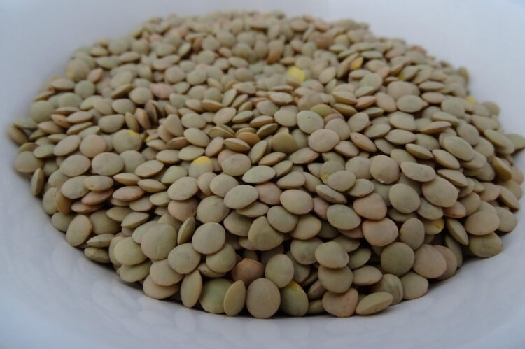 La dieta del piatto unico: un regime rapido per perdere peso, ma con alcuni accorgimenti